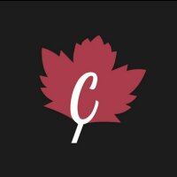 cinarweb profil fotoğrafı