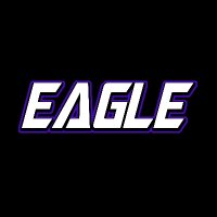 designoneagle profil fotoğrafı