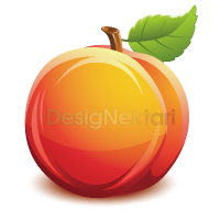 designektari profil fotoğrafı