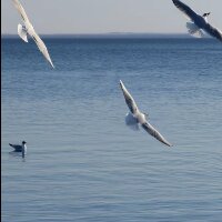 aysegndgdu profil fotoğrafı