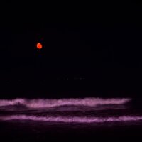 adalben profil fotoğrafı