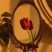 grafikbeyzs profil fotoğrafı