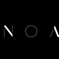 noagraphys profil fotoğrafı