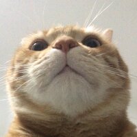 akifgrr profil fotoğrafı