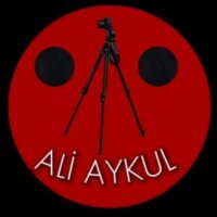 aliaykul6 profil fotoğrafı