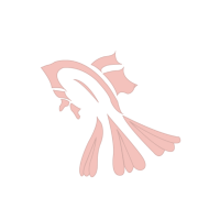 logok profil fotoğrafı