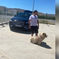 burakkkb profil fotoğrafı