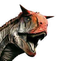 felixlogo profil fotoğrafı