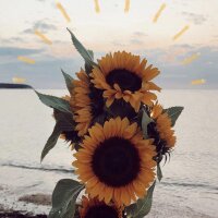 ozgecilekar1 profil fotoğrafı
