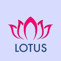 llotusdesign profil fotoğrafı