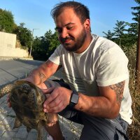 logoqrafik profil fotoğrafı