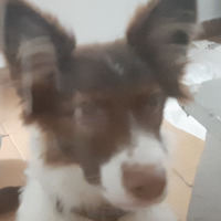 byron6 profil fotoğrafı