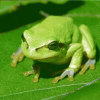cihansyr profil fotoğrafı