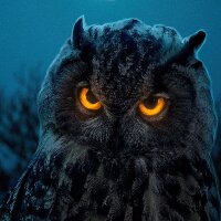 barbarosrusen profil fotoğrafı
