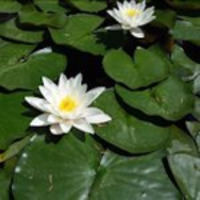 hak1onluk profil fotoğrafı