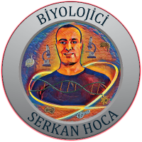 serkandoganay profil fotoğrafı