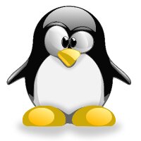 mertarican profil fotoğrafı
