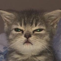 seadhy profil fotoğrafı