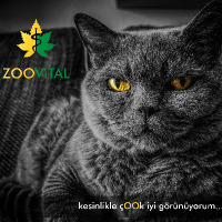 emin_akturk profil fotoğrafı