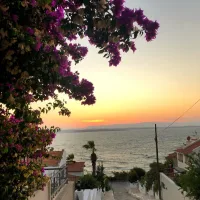 gultenntas profil fotoğrafı