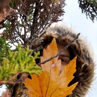 hk_topuz profil fotoğrafı