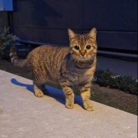 cemreshn00 profil fotoğrafı