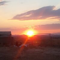 alpergumustekin profil fotoğrafı