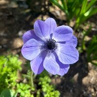 murphymr profil fotoğrafı