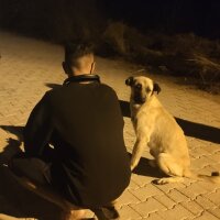 alwaysnever profil fotoğrafı