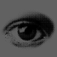 metincoskunbaba profil fotoğrafı