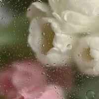ipekdemirci profil fotoğrafı