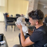 kaandemir_7 profil fotoğrafı