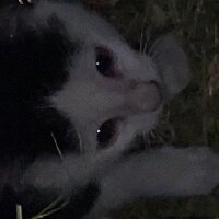 erenkadi profil fotoğrafı