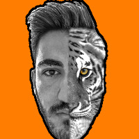 melihkaplann profil fotoğrafı