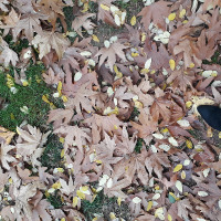 iicmimarrr profil fotoğrafı