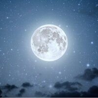 lunadin profil fotoğrafı