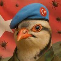 slhsglm profil fotoğrafı
