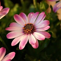mrsgezder profil fotoğrafı