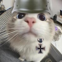 hzebusalah profil fotoğrafı