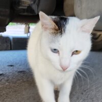 kemalcann profil fotoğrafı