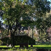 vesileozkazan profil fotoğrafı