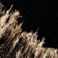 universeofatoms profil fotoğrafı