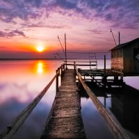 memberaccount profil fotoğrafı