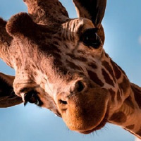 beyzaccc profil fotoğrafı