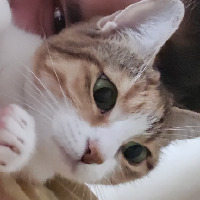 aeyhan profil fotoğrafı