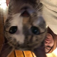 sulikeyn profil fotoğrafı