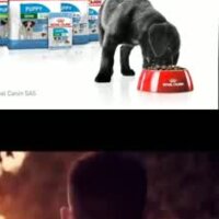 seoboy profil fotoğrafı
