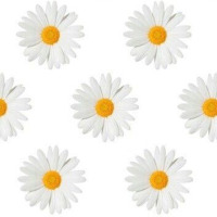 yarenn22 profil fotoğrafı