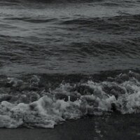 ynkquike profil fotoğrafı
