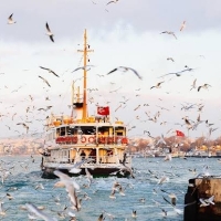 berkanmertoglu11 profil fotoğrafı